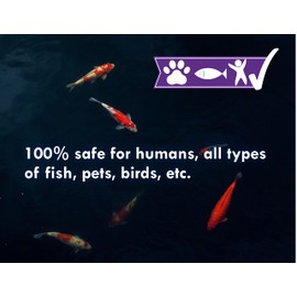 KoiWorx Defoamer - Gallon- Removes Foam from Decorative and Ornamental Ponds, Safe for Koi