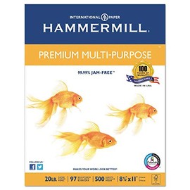 Hammermill Copy amp; Multipurpose Paper - Letter - 8.50quot; x 11quot; - 20 lb - 97 Brightness - 5000 / Carton - White