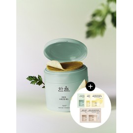 Artemisia Moisture Soothing Pads 60 sheets / 어린쑥 수분진정패드 60매
