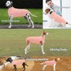Wabdhaly Dog Surgery Recovery Suit for Female Spay,Puppy Surgical Recovery