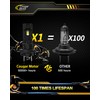 Cougar Motor H7 Bulbs, 1:1 Size H7 Lights Bulb No