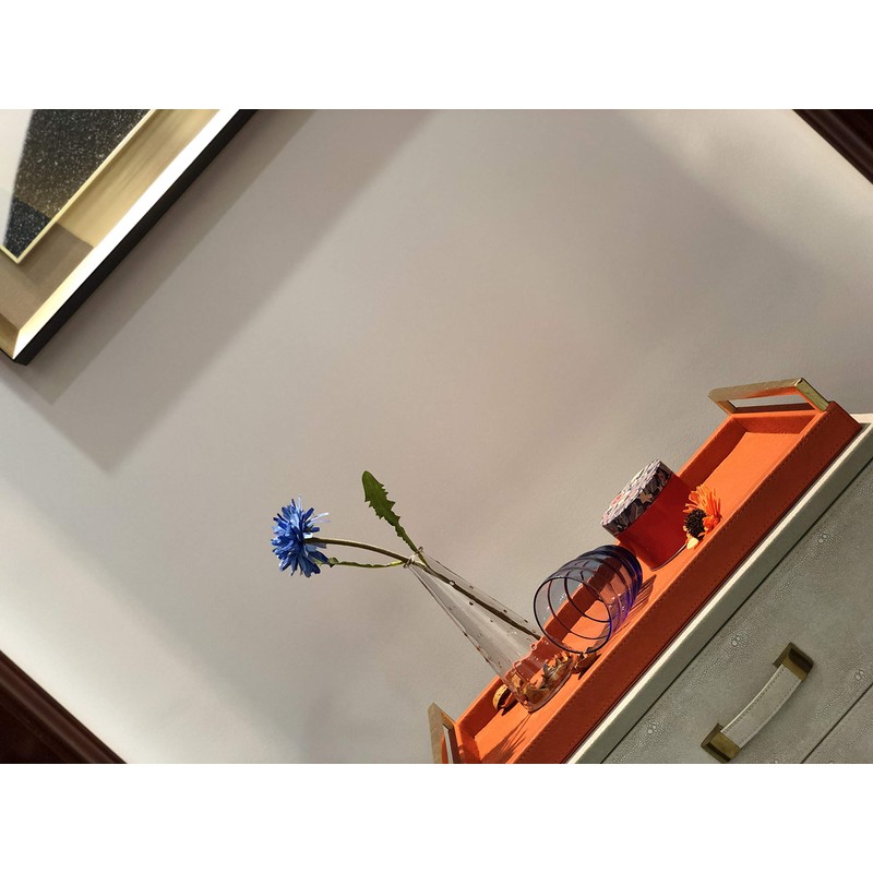 Orange Serving Tray, Coffee Table Decorative Tray Orange PU Leather