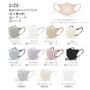 ICHIMIZU Mask, Spring First Sale, Pollen, Breathable, 3-Layer Thin, Supervised