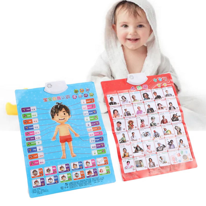 2pcs Chinese English Phonics Posters Multipurpose Fun Early Education Self
