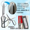 Kinboshi 3221 Venus Leaf Cutting Shears (Metal Stop) 10.6 inches