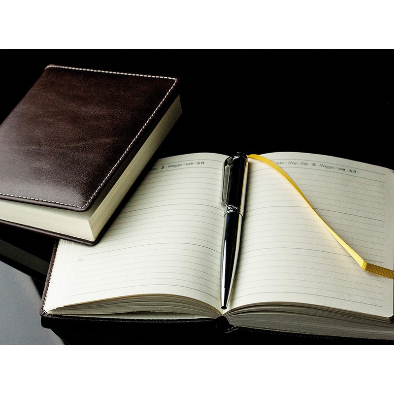 DELMON VARONE - 3 Year Calendar "Everlasting" Bound in Aniline