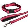 RED/SPOTTY COLLAR 14-20IN