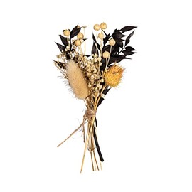 Rayher Mazzo di fiori secchi, nero, 18-20cm, bus.blis. 1pz, 85491576