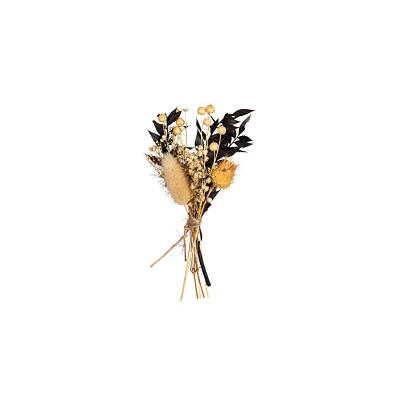 Rayher Mazzo di fiori secchi, nero, 18-20cm, bus.blis. 1pz, 85491576