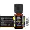 Healing Solutions Lemon Eucalyptus Essential Oil - 0.33 Fluid Ounces