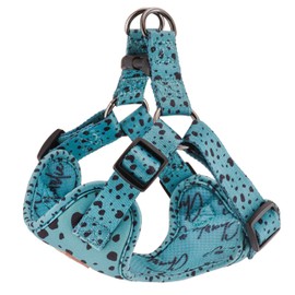Charlie + Co, Adjustable Step in Dog Harness, Comfortable Breathable Secure, Simple & Easy to Fit (Keep it Teal, 2)