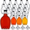 Hoolerry 24 Pack Glass Maple Syrup Bottles with 4 Stainless