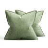 MIULEE Sage Green Velvet Throw Pillow Covers 20x20 Soft Decorative