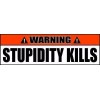Wrapped In Ink Stupidity Kills Warning Bumper Sticker 2 Pack for Toolbox Locker Laptop 22