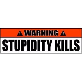 Wrapped In Ink Stupidity Kills Warning Bumper Sticker 2 Pack for Toolbox Locker Laptop 22