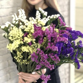 FUN AND GROW SEEDS: Seeds California Sea Lavender Mix Seafoam Statice Marsh Rosemary Annual Flowers