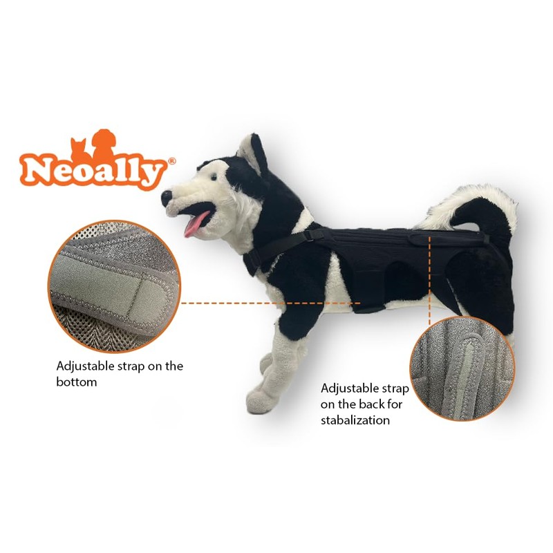 NeoAlly Dog Back Brace for Dogs Arthritis, IVDD, Spinal Surgical