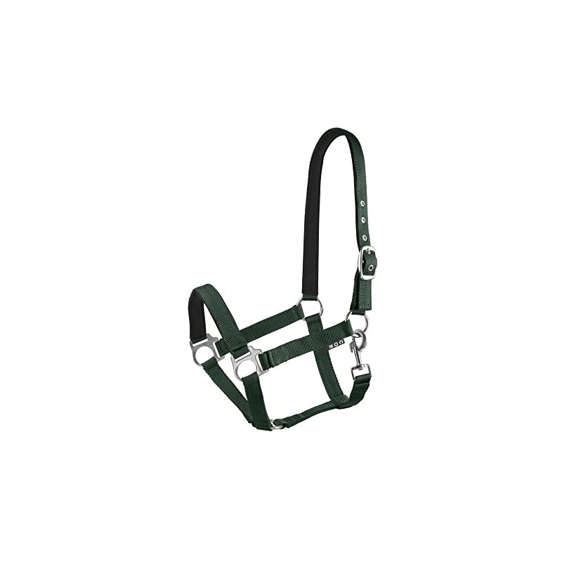 Start Economic Lined Halter for Horses Thoroughbred, Pony - Stable