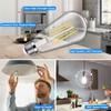 4-Pack Vintage E26 LED Edison Bulbs 100W Equivalent 1400LM High