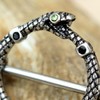 Pierced Owl 14GA 316L Stainless Steel Full Circle Snake Biting