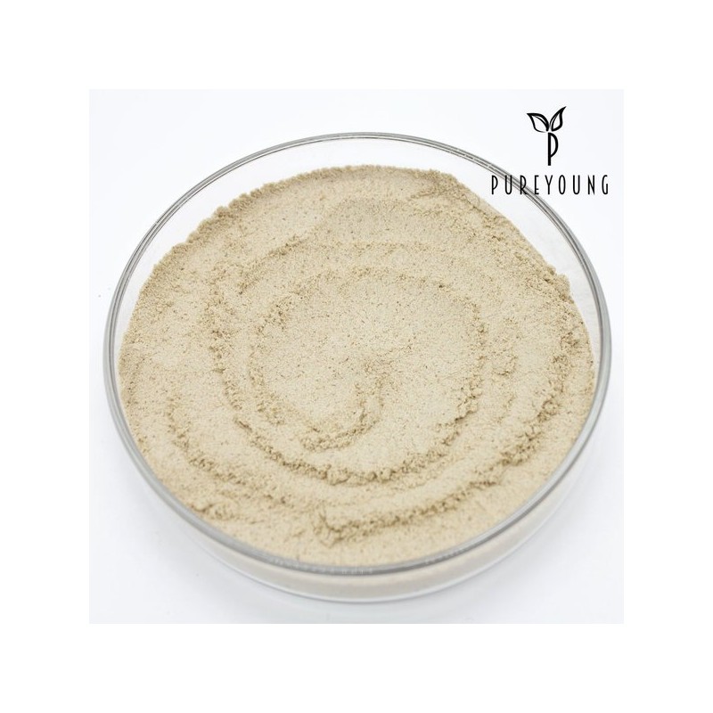 Pure Young 차전자피 가루 분말 400g 프리미엄 식이섬유 Psyllium Husk