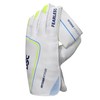 DSC Intense Attitude Wicket keeping Gloves - Youth (Multicolour)