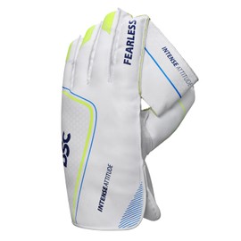 DSC Intense Attitude Wicket keeping Gloves - Youth (Multicolour)
