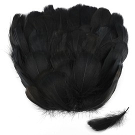 SUNRIZ Natural Feathers 8-12 cm, Pack of 300, Feather for Crafts, Wedding Decoration, Carnival, Easter, Masks, School Crafts