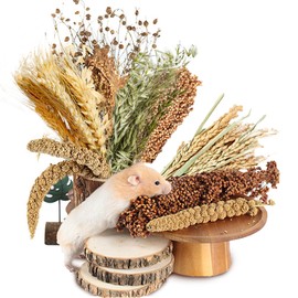 NICERINC PET Natural Ear of Grain Flower&Herb Bedding Mate Habitat Decor, Adding Fun Hamster Accessories for Hamsters Gerbils Lemming