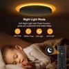 Lightania 15 Inch Flush Mount Ceiling Light with Remote Control