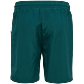 hummel Uni_Kids Shorts Hmlmove Grid Woven Shorts Kids