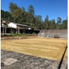 Black Tucano Specialty Coffee - Brazilian Ground Medium Roast Coffee