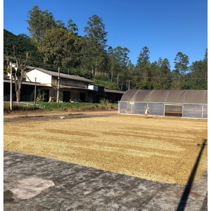 Black Tucano Specialty Coffee - Brazilian Ground Medium Roast Coffee