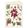 Cavallini Papers Christmas Botanica Boxed Notes, Multicolor