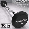 Synergee Fixed 10LB Easy Curl Bar Pre Weighted Curved Steel