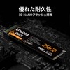 EDILOCA EN605 SSD 256GB PCIe Gen 3.0x4 NVMe1.3 M.2 2280