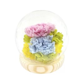 Sphere Glass Dome Arrangement Glass Dome Yu/Pink Blue