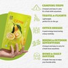 [Nokchawon] Citronade Pouches 10 Packs – Sweet and Tangy Korean