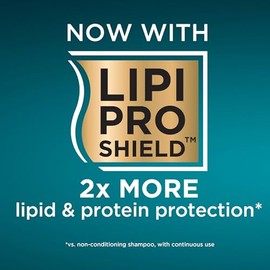 OGX, Shampoo Argan Oil, Ideal para Cabello Seco y Dañado, Nueva Fórmula con Tecnología LipiPro Shield, 577ML