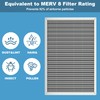 DENGESON 16x25x1 Reusable Air Filter - Washable Filter, MERV 8,Permanent,
