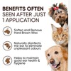 APP Clearit 20G Traditional Ear Powder & Clearit Advanced Ear
