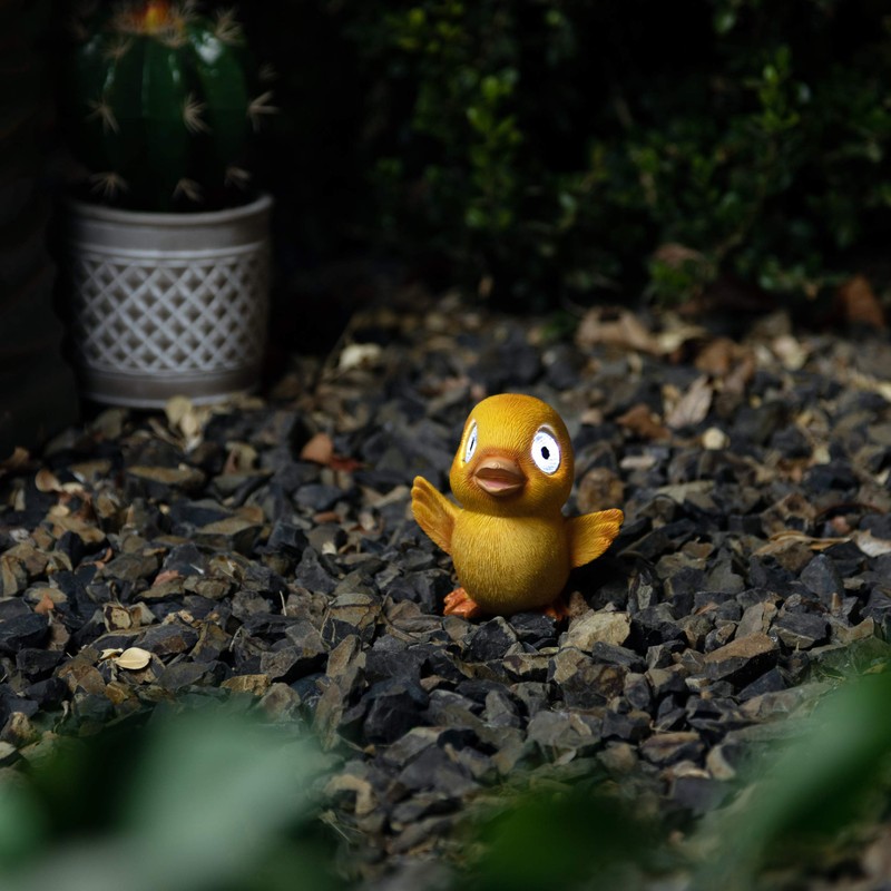 Solar Baby Duck Set, 2-Pack