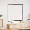 vidaXL Projector Screen Wall Hanging 67 Inch 1:1, Projection Screen,