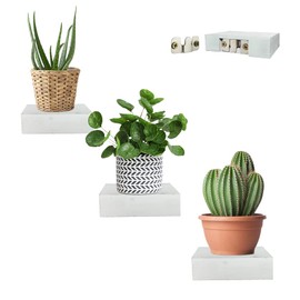 Gyoirzzm Small Floating Shelf, Wooden Hanging Display Floating Wall Shelves for Living Room Bedroom, 4 x 3 1/3-Inch, 3 Pack