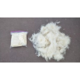 Stay Downwind Fluffy Milkweed Floss Min Seeds - Natural Stuffing, Wind Direction for Hunting