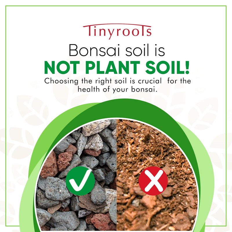 Bonsai Outlet Bonsai Soil Mix - Tinyroots All Purpose Bonsai