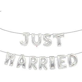 Just Married Banner Silver