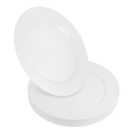 STACKABLES Pack of 20 Hard Plastic Plates 10.25" Elegant Party Serving Plates Reusable Lunch & Dinner Plate for Parties Weddings & Events