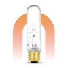 lumenivo Piano Light Bulb 40 watt 120 Volts 一 40T10/CL