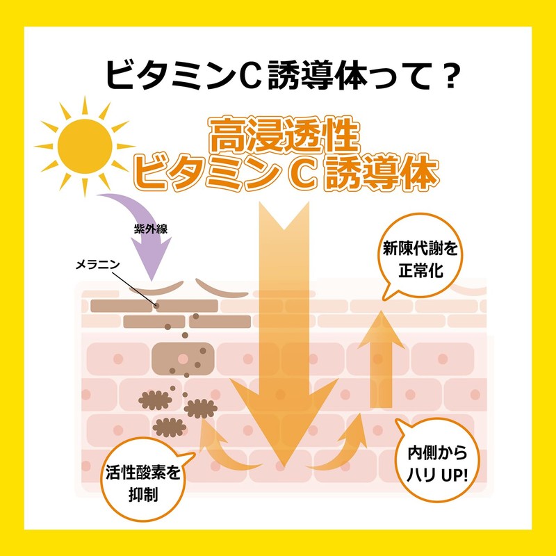 Vitamin C Derivative High Concentration Cvita (Facial Cleansing Foam)